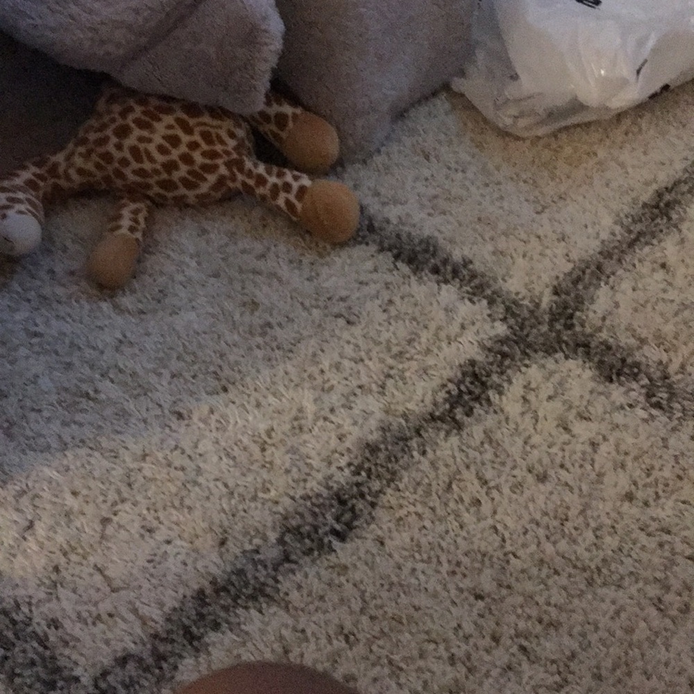 Meet your Posher, Patty